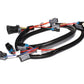 FAST Injector Harness LS2-18726543 - 301209