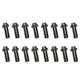 Kooks Ford 5.0L 4V Coyote Engine Header Bolt Kit (Fine Thread) QTY. 16 - M10 - 1.25 x 25mm Bolts - BK109