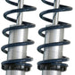 Ridetech 05-14 Ford Mustang CoilOver System HQ Series Rear - 12156110