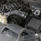 aFe Super Stock Induction System Pro Dry S Media 15-20 Ford F-150 V8-5.0L - 55-10011D