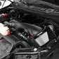 aFe MagnumFORCE Pro DRY S Stage-2 Intake System 16 Ford F-150 EcoBoost V6-2.7L/3.5L (tt) - 51-32642-1B