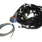 FAST Wiring Harness Main LS1LS2L - 301108